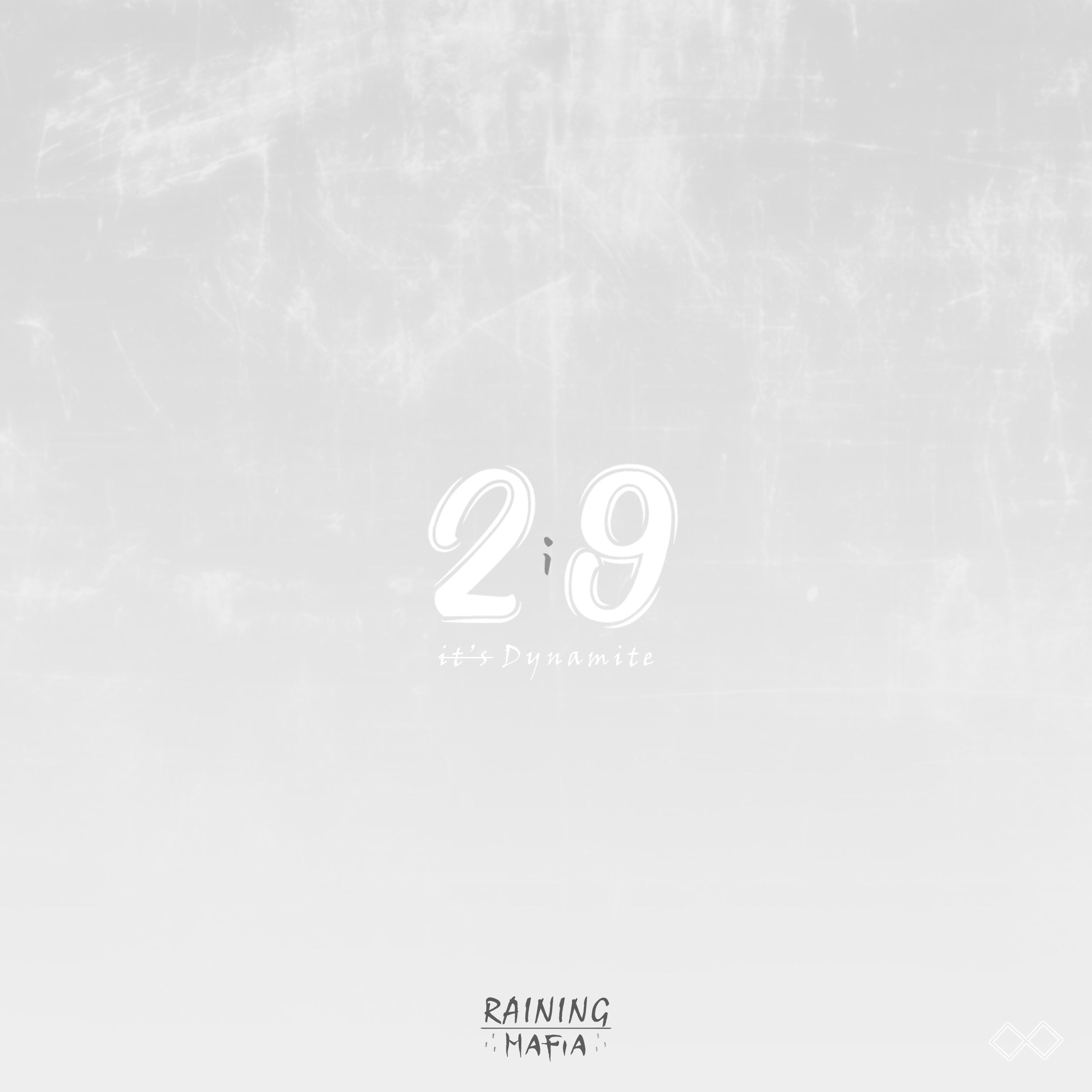 2i9