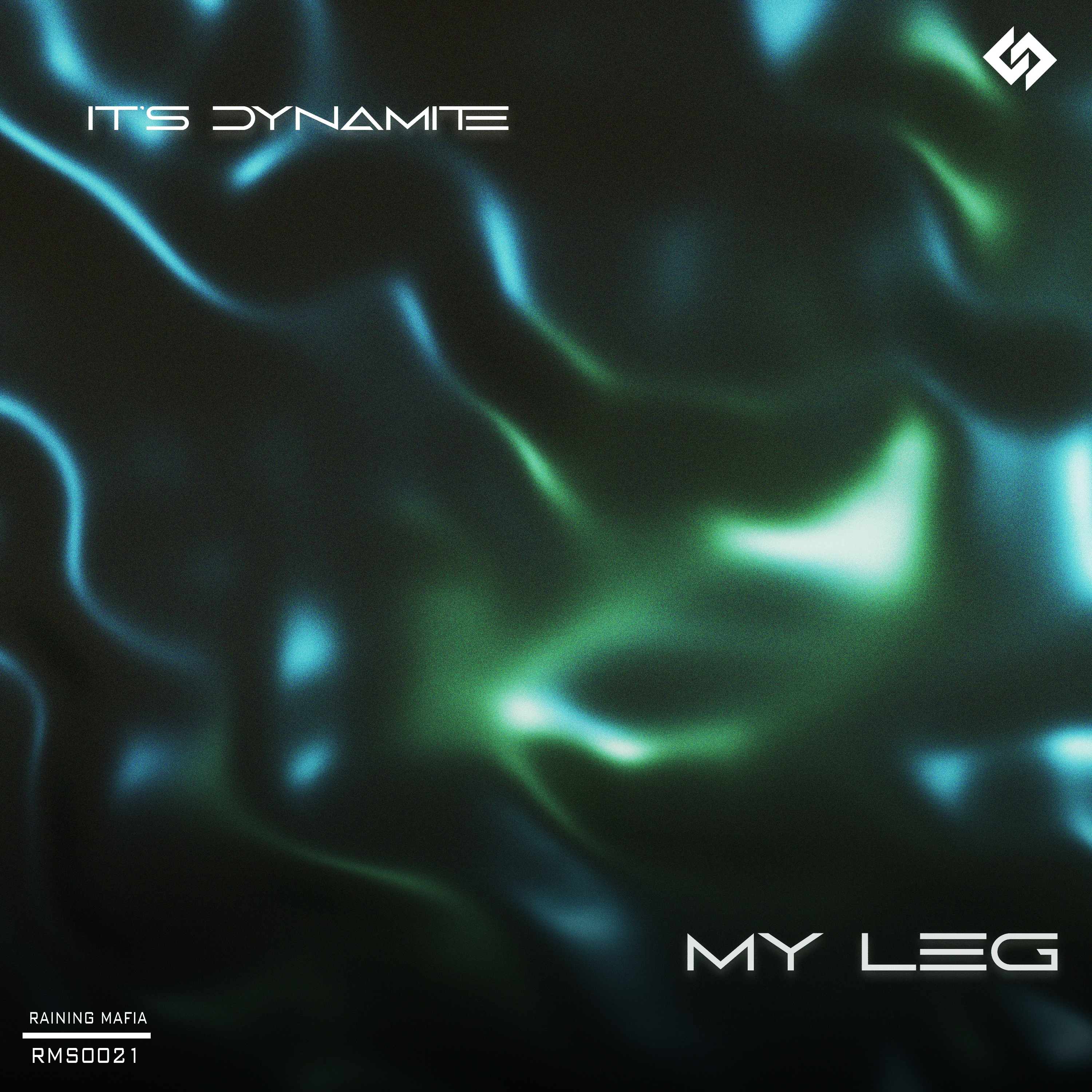 My Leg