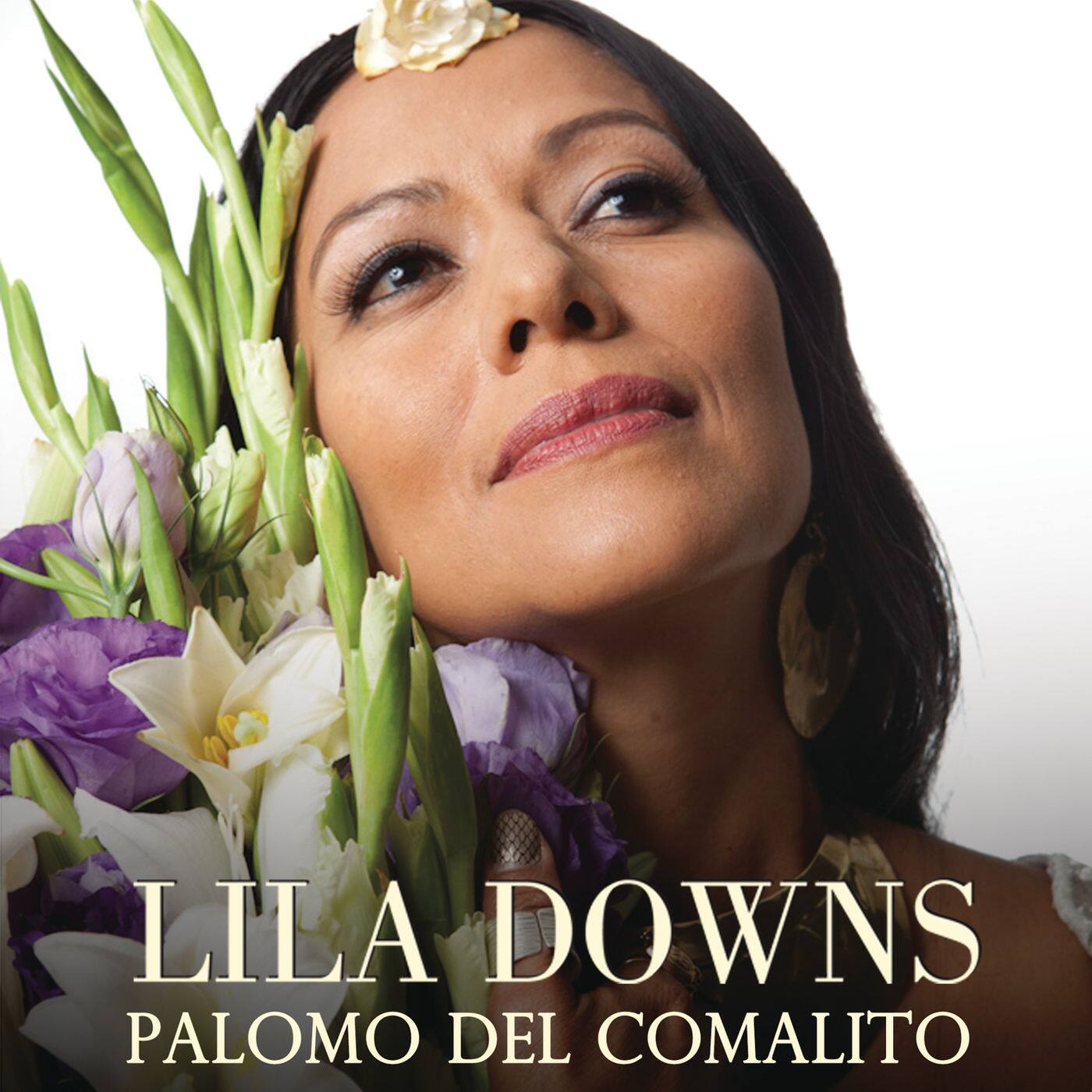 Palomo del comalito