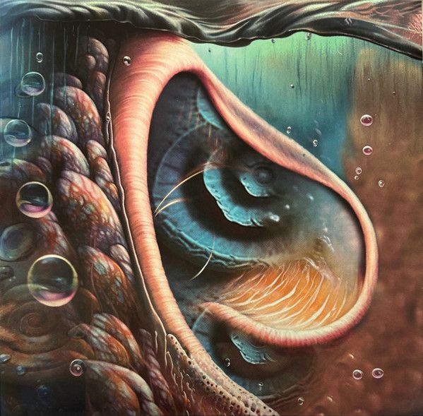 Meddle Reimagined - A Tribute To Pink Floyd