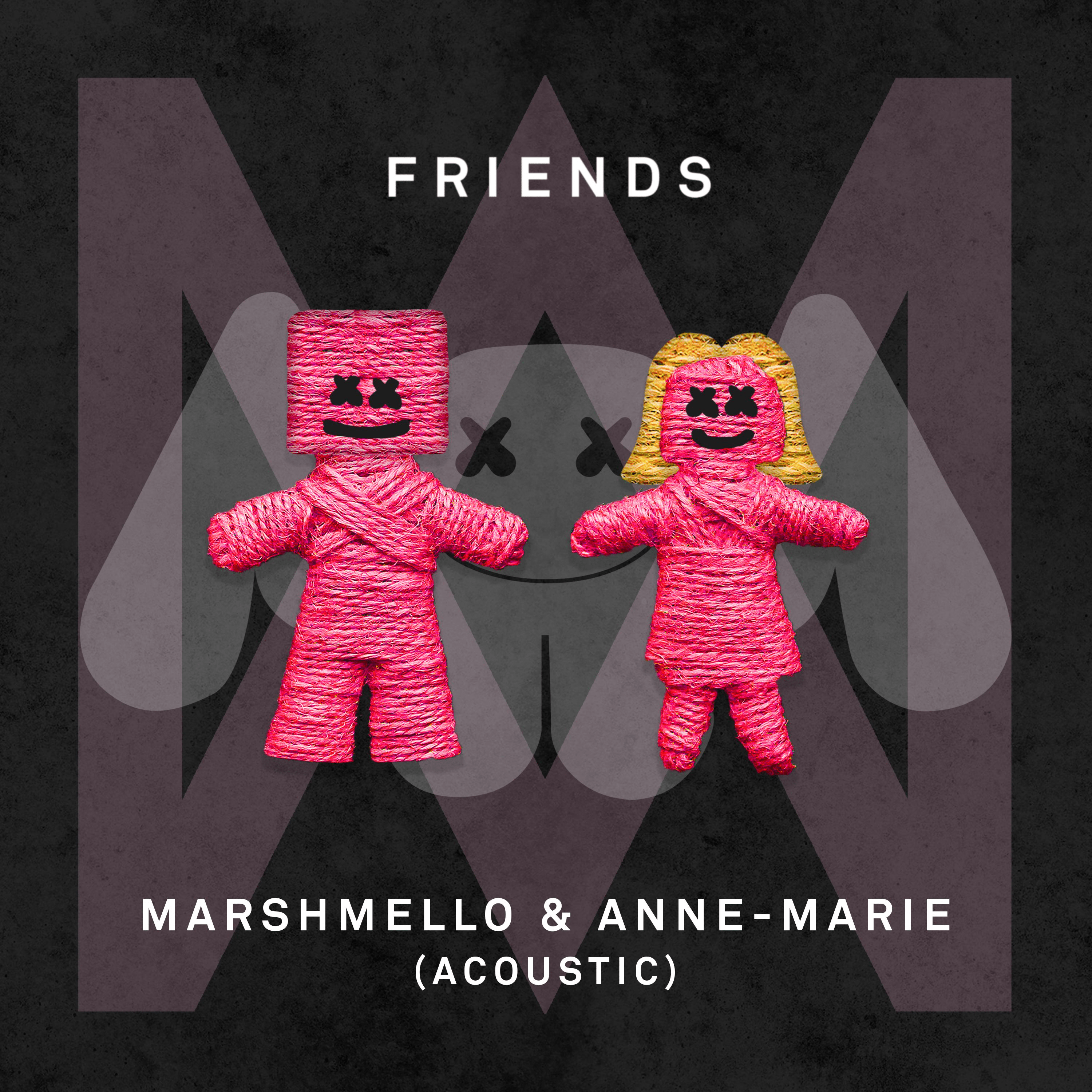 FRIENDS (acoustic)