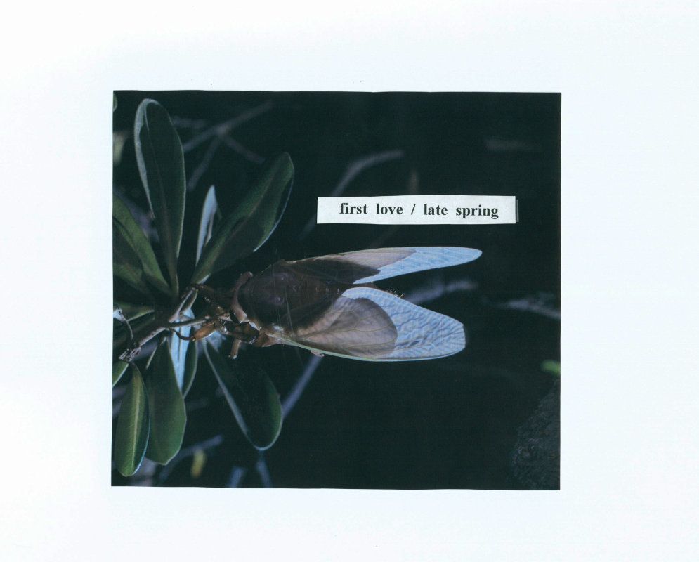first love / late spring
