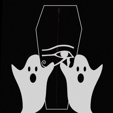 11.11.20