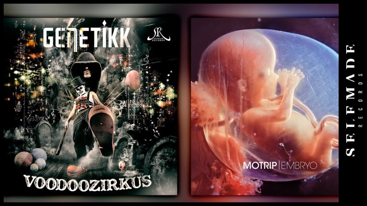 Keiner hier ist Rap