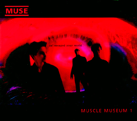 Muscle Museum
