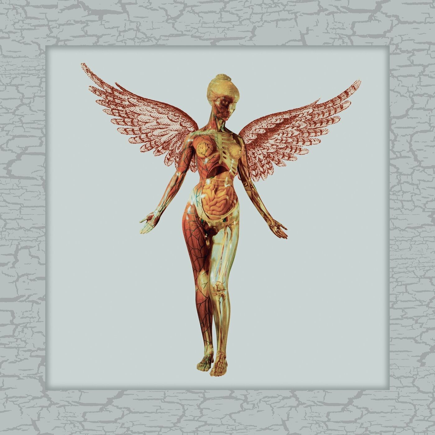 In Utero 30th Live