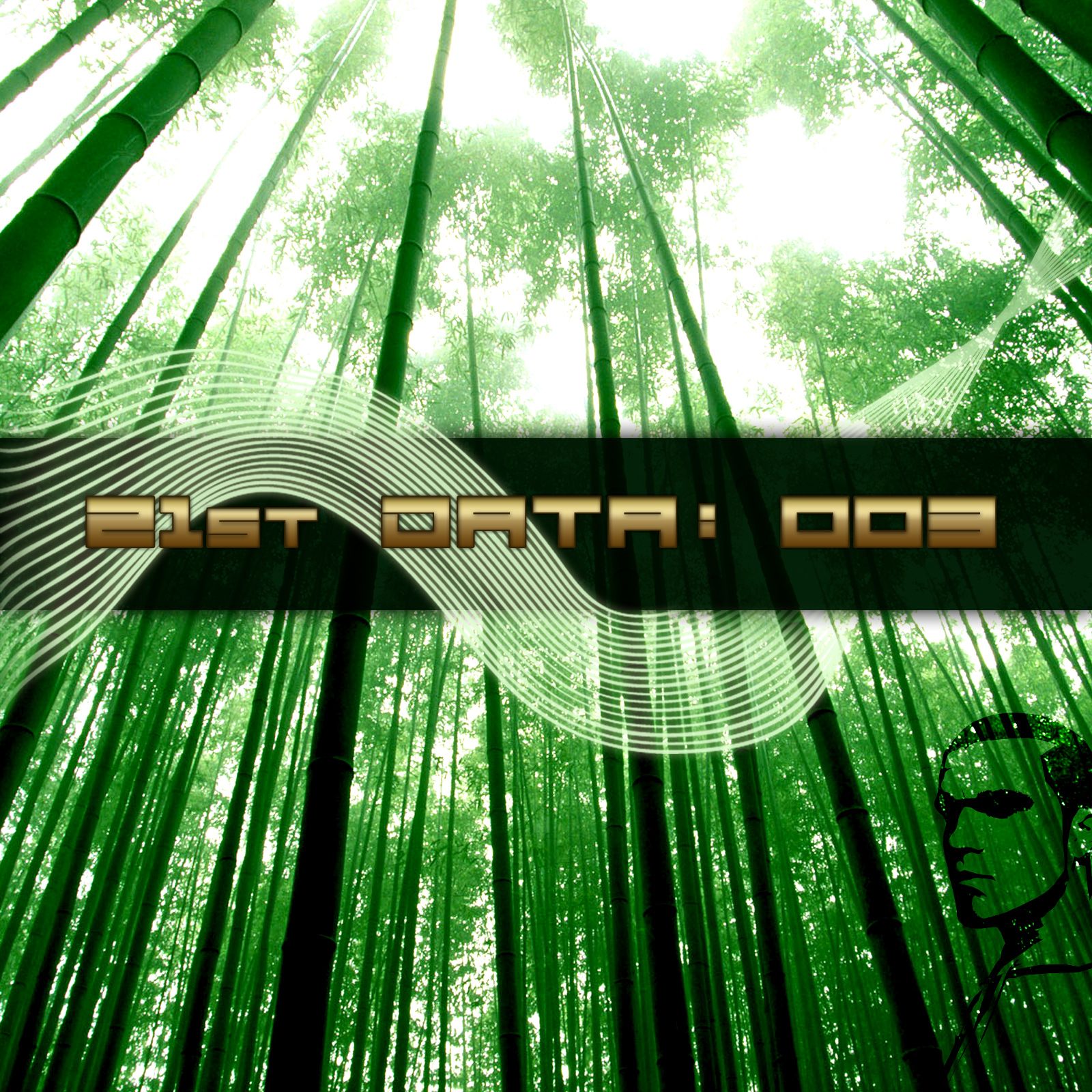 21st Data 003