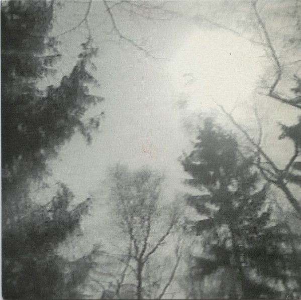 Mein Freund der Baum