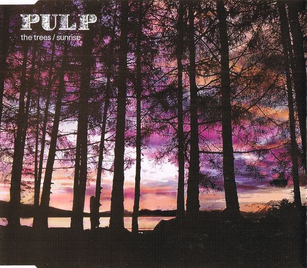 Sunrise / The Trees