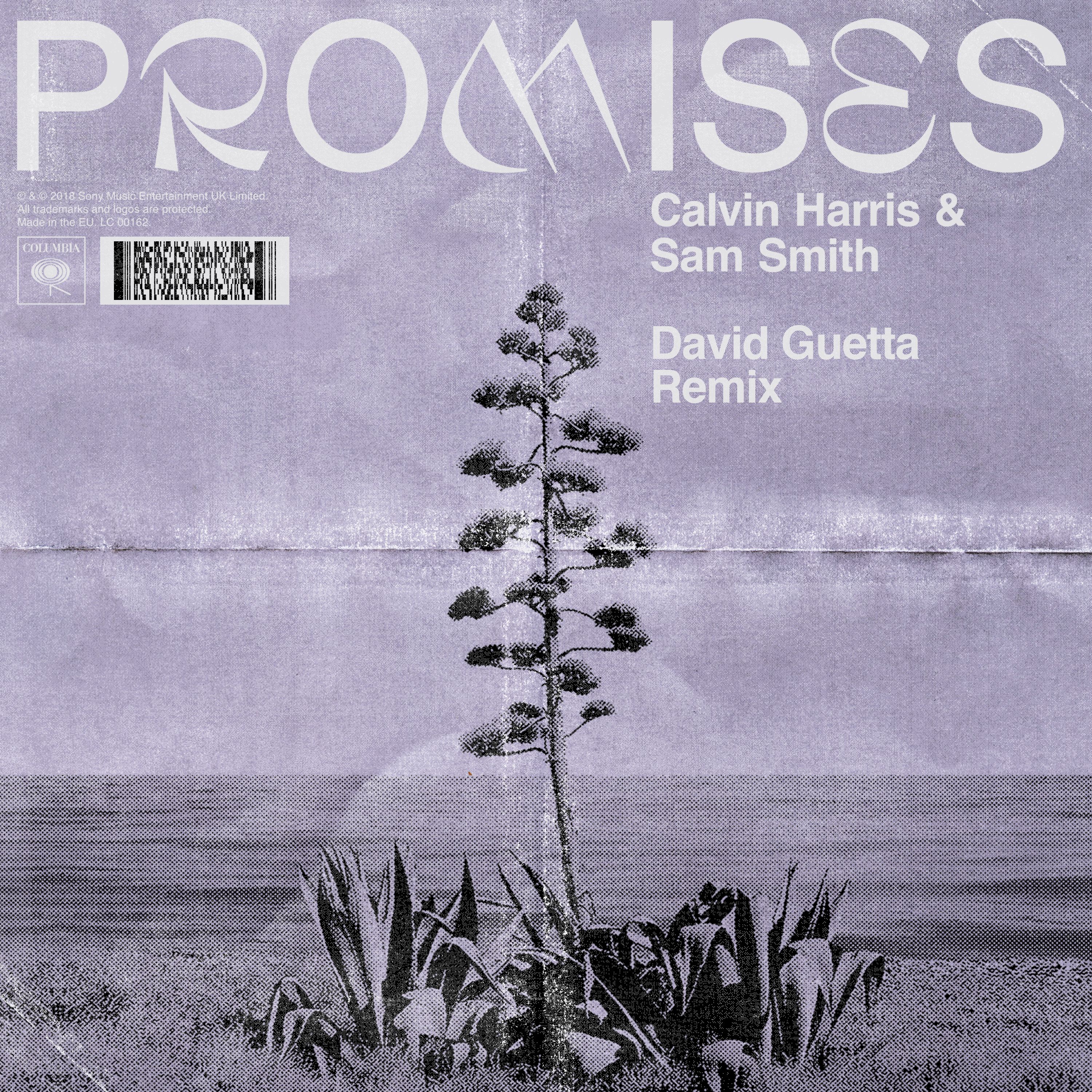 Promises (David Guetta remix)