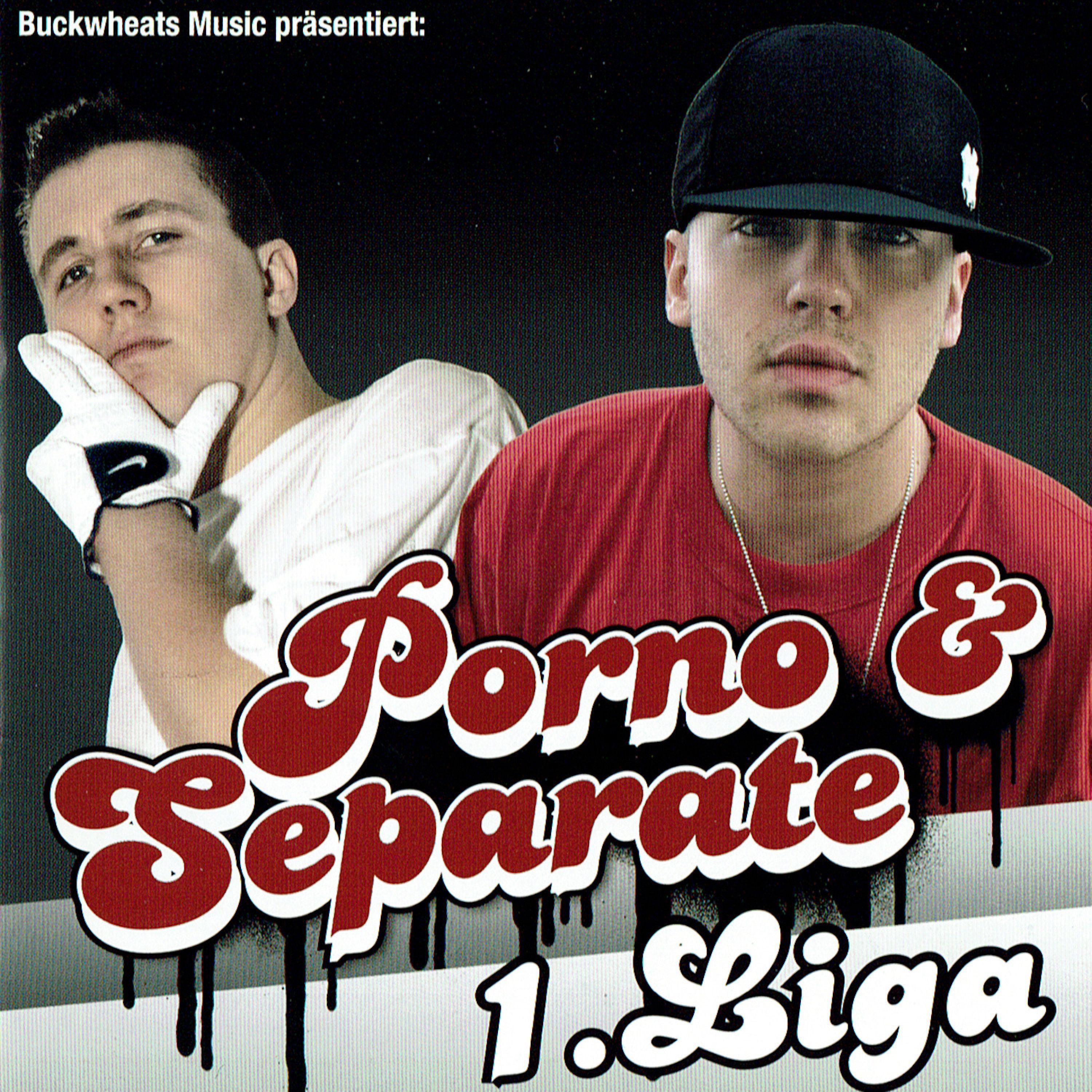1. Liga