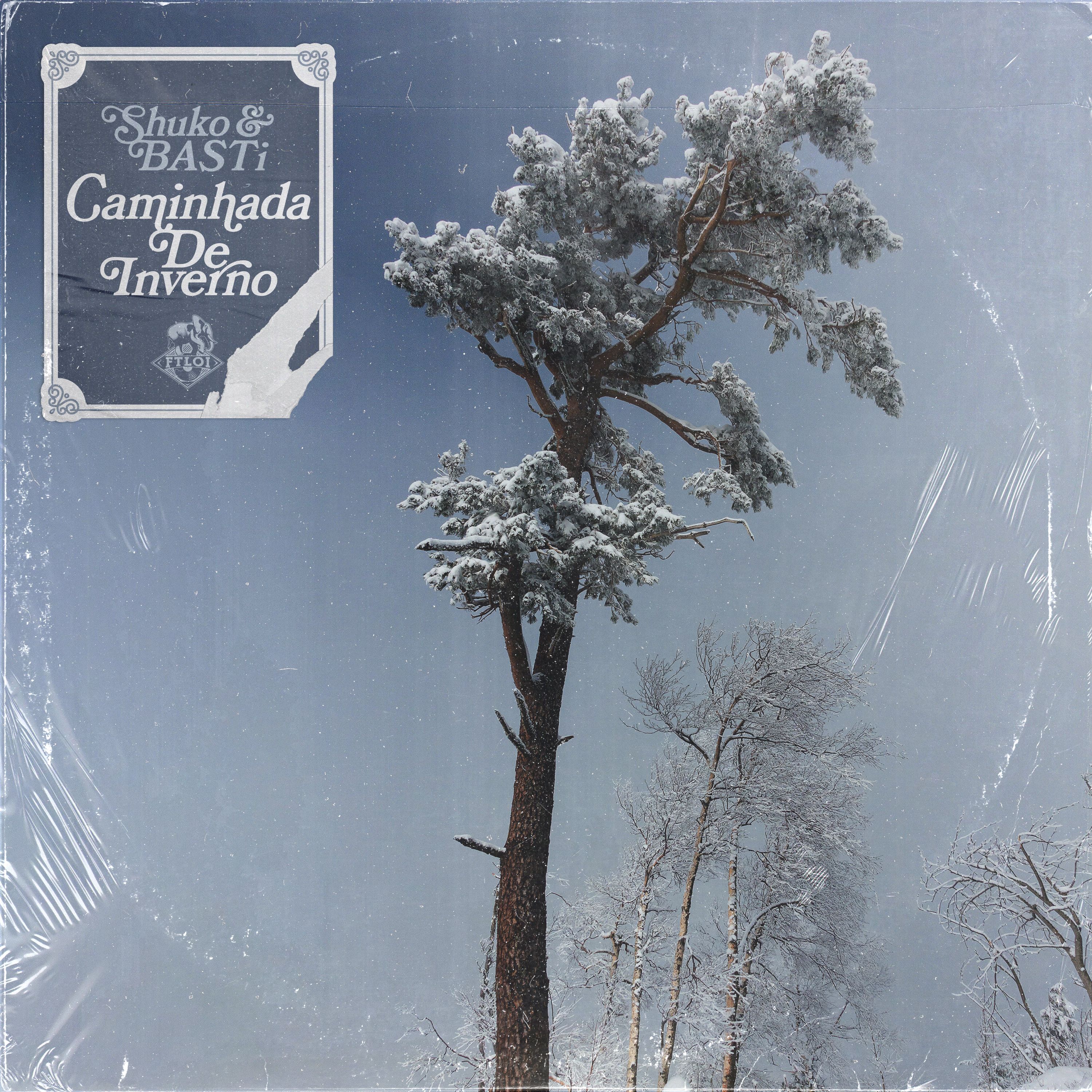 Caminhada de inverno