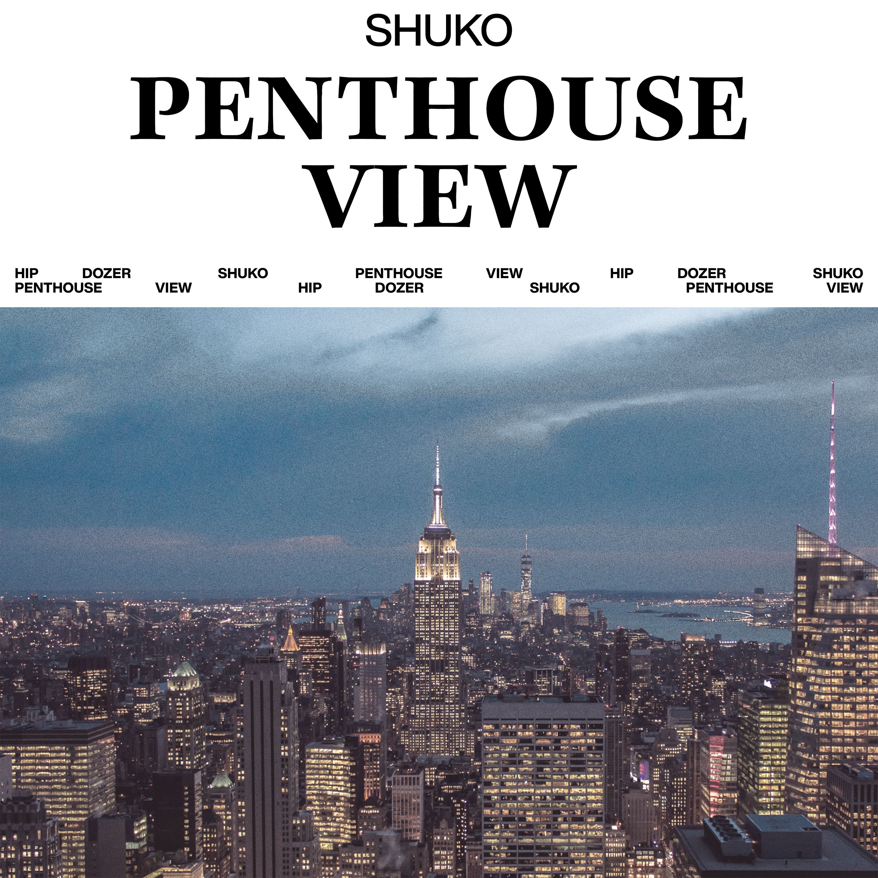 Penthouse View