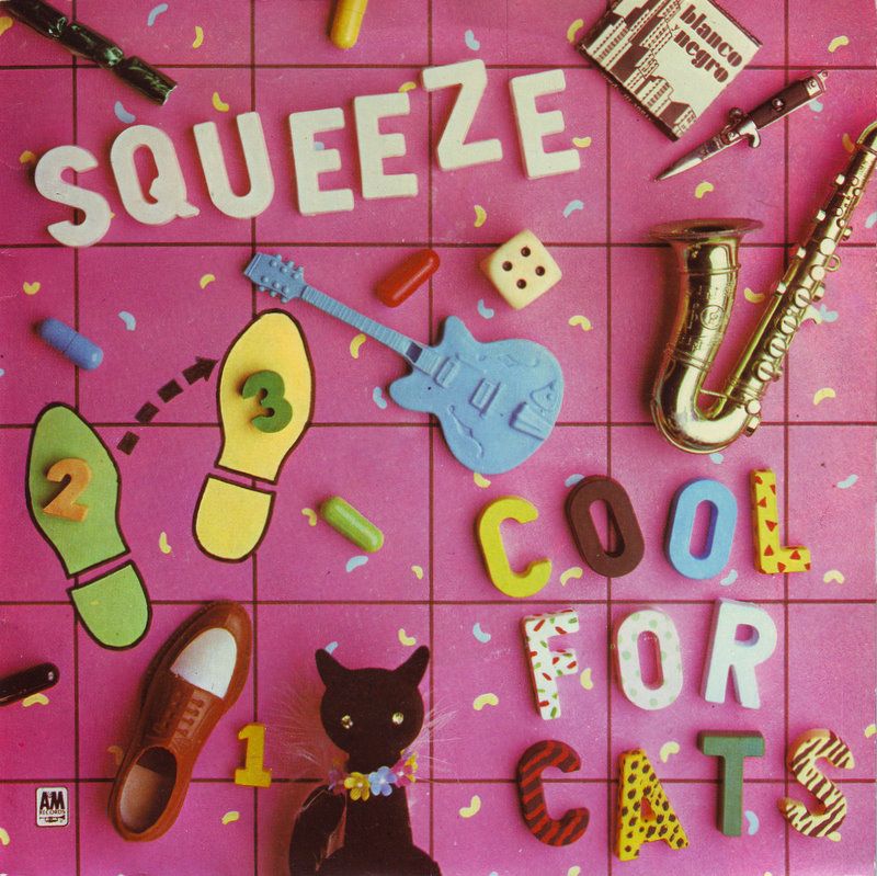 Cool for Cats