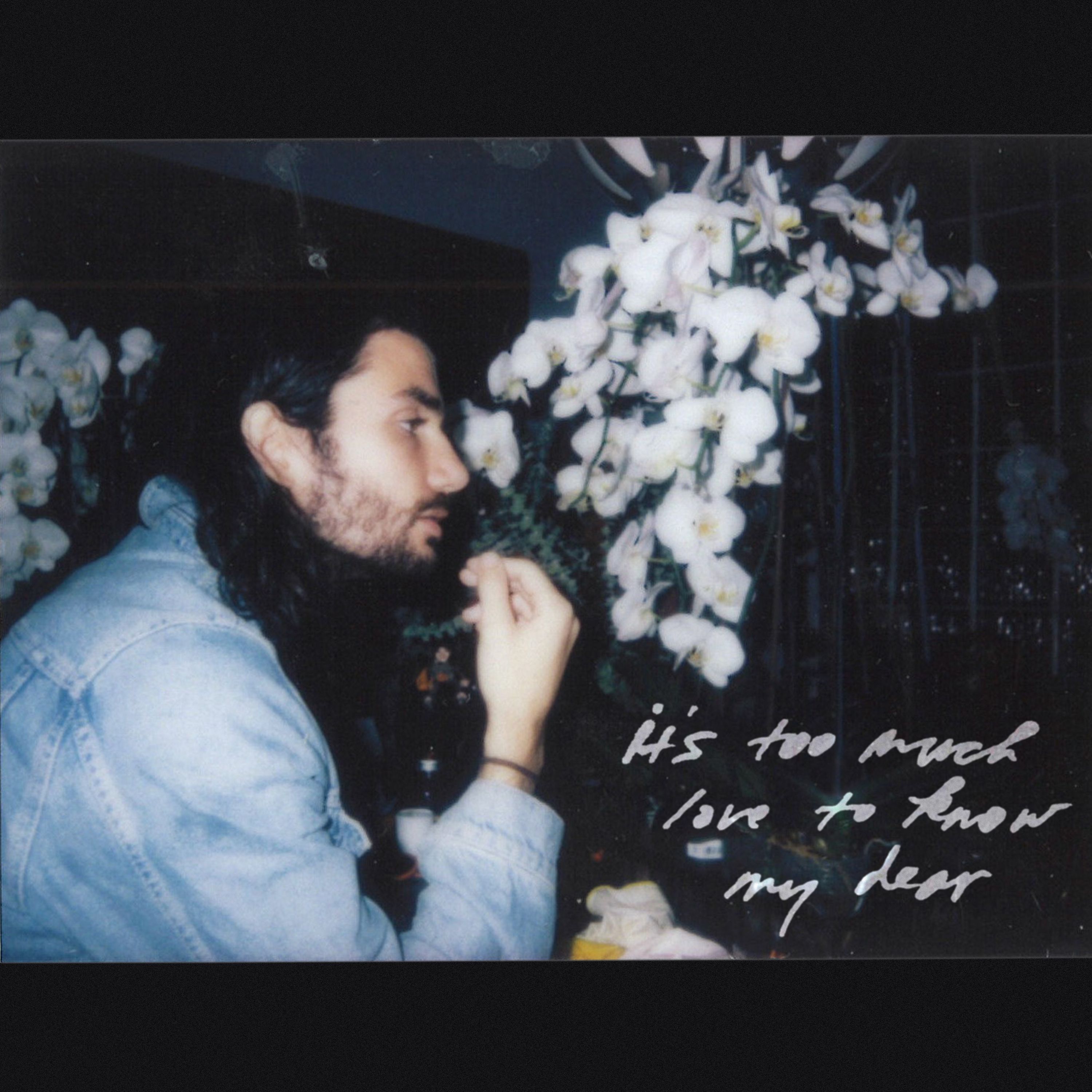 It's Too Much Love to Know My Dear