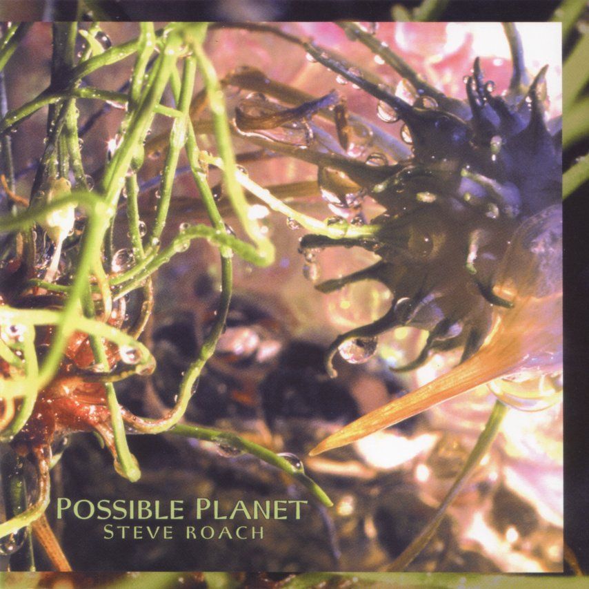 Possible Planet