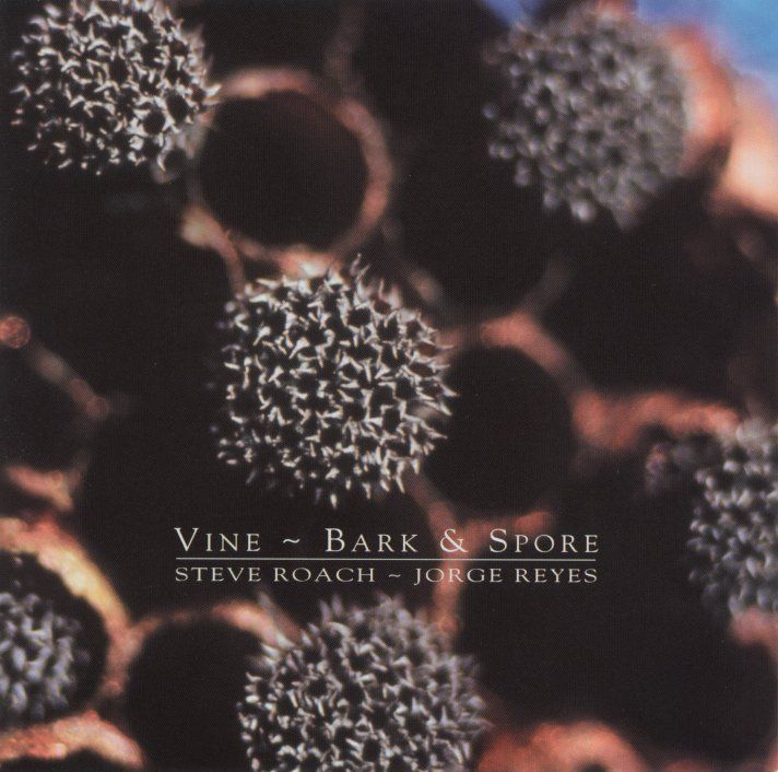 Vine ~ Bark & Spore