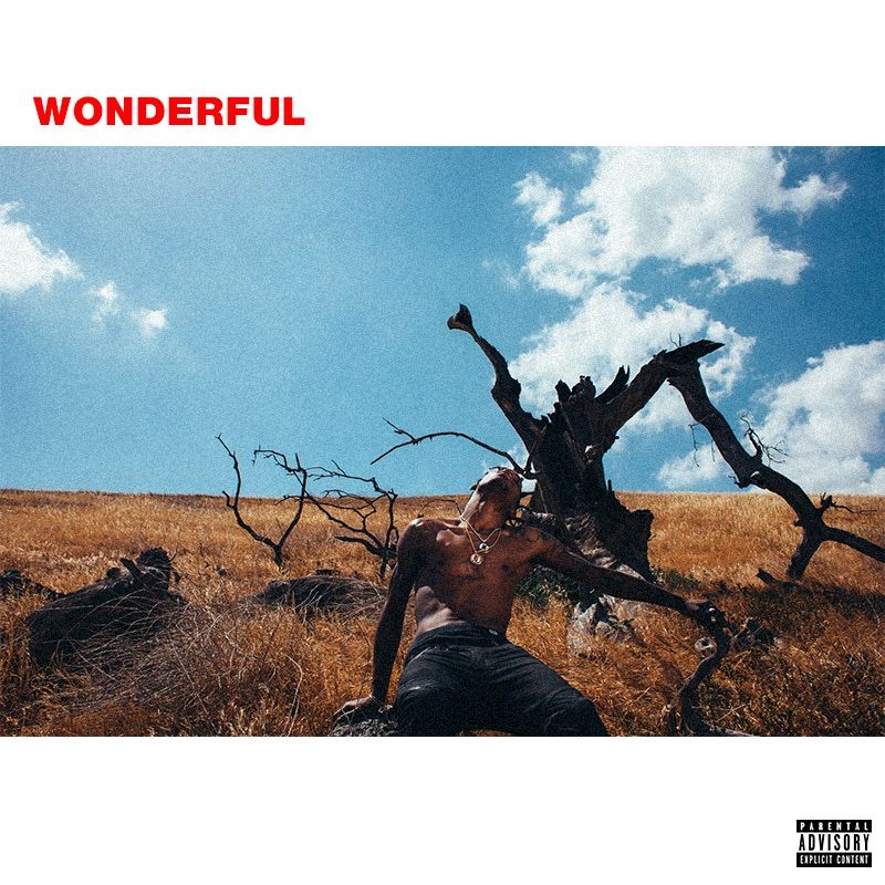 Wonderful