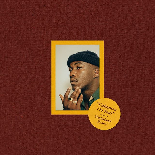 Unknown (to You) (Timbaland remix)