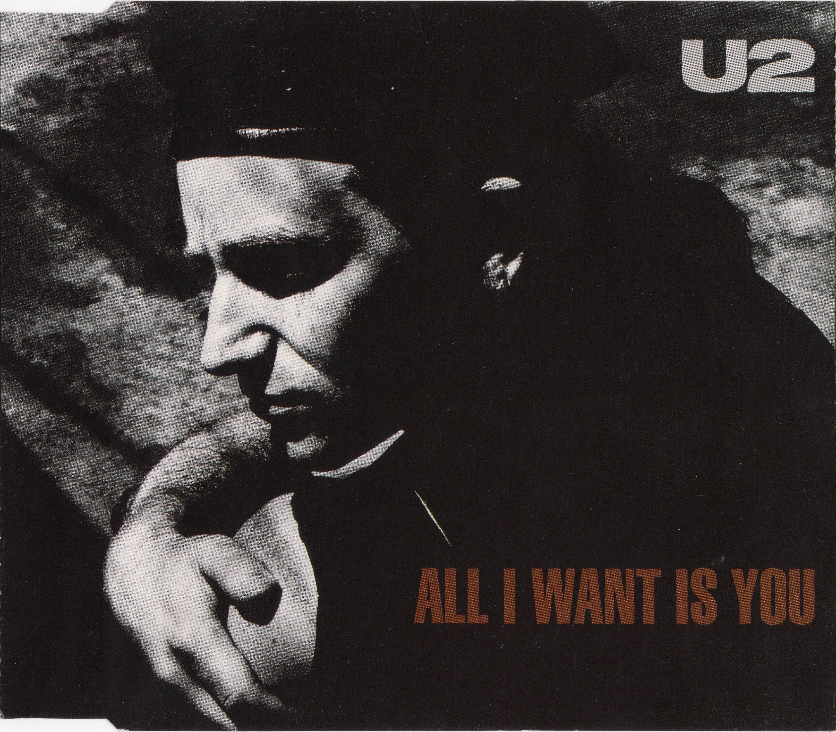 All I Want Is You
