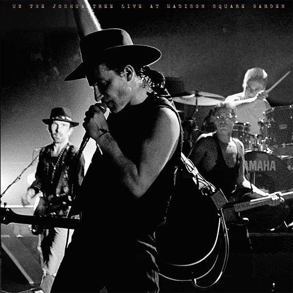 Live at Madison Square Garden