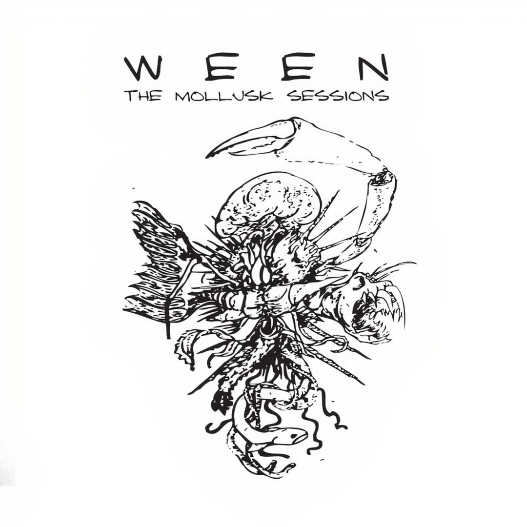 The Mollusk Sessions