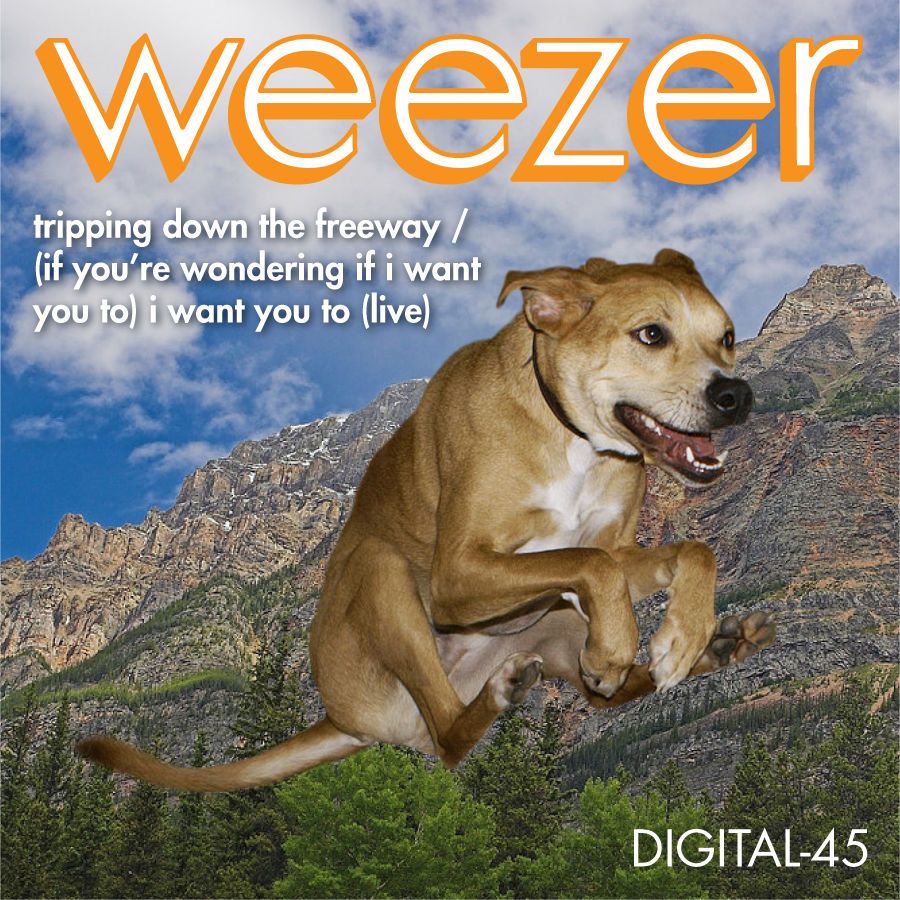 Tripping Down the Freeway / (If You’re Wondering If I Want You to) I Want You To (live)