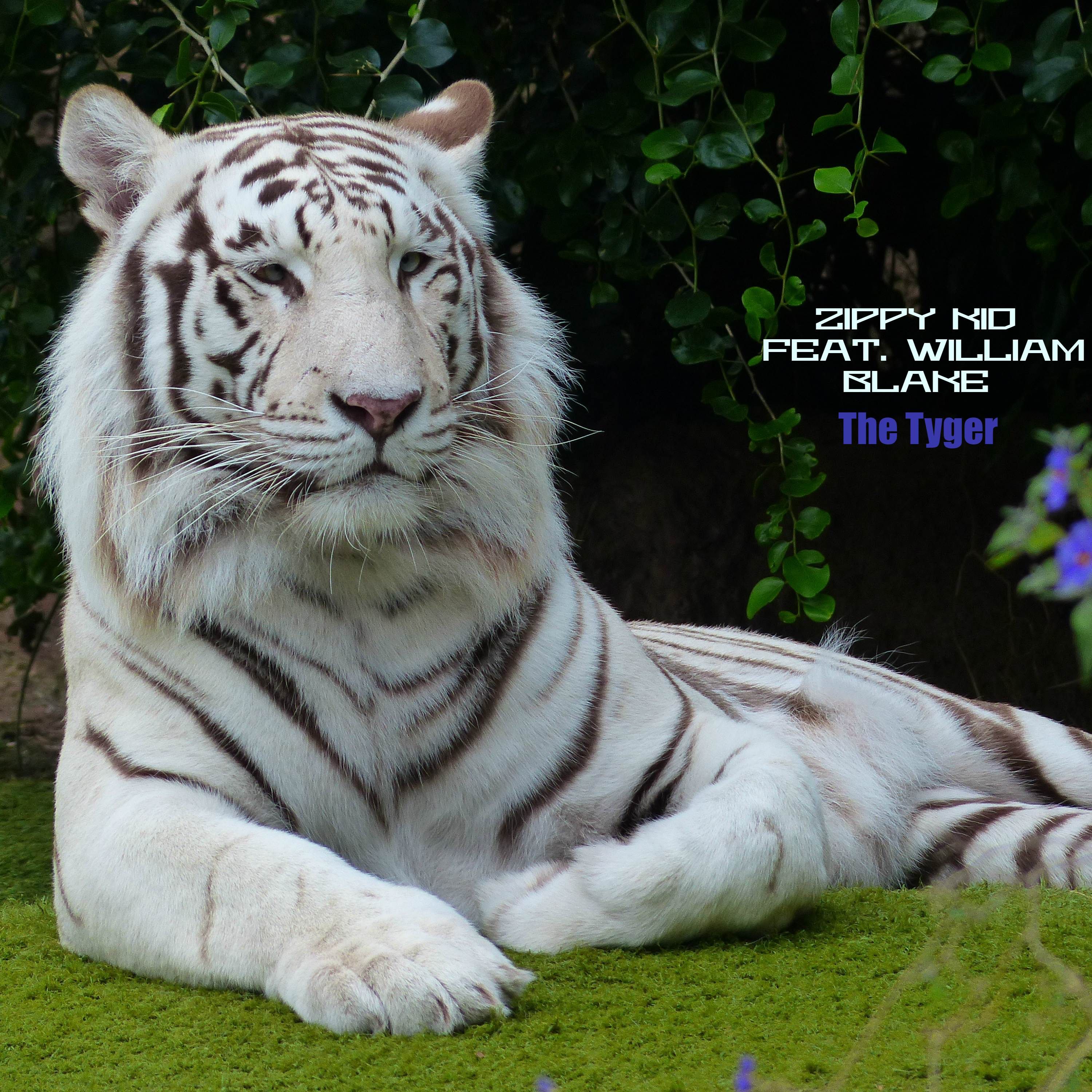 The Tyger