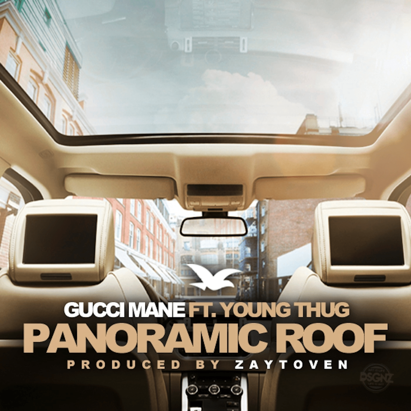 Panoramic Roof